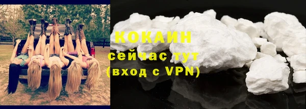 тгк Богородицк