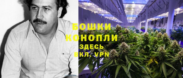 тгк Богородицк