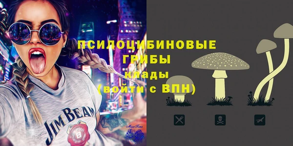 дживик Богданович