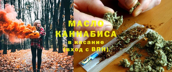 тгк Богородицк
