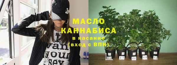 тгк Богородицк