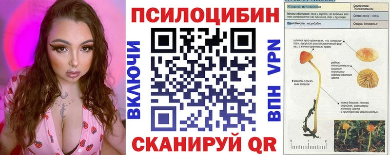 Галлюциногенные грибы Cubensis  Мезень 